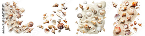 Seashells scattered on sandy beaches Hyperrealistic Highly Detailed Isolated On Transparent Background Png File