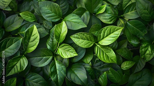 A nature background featuring an abstract green leaf texture.
