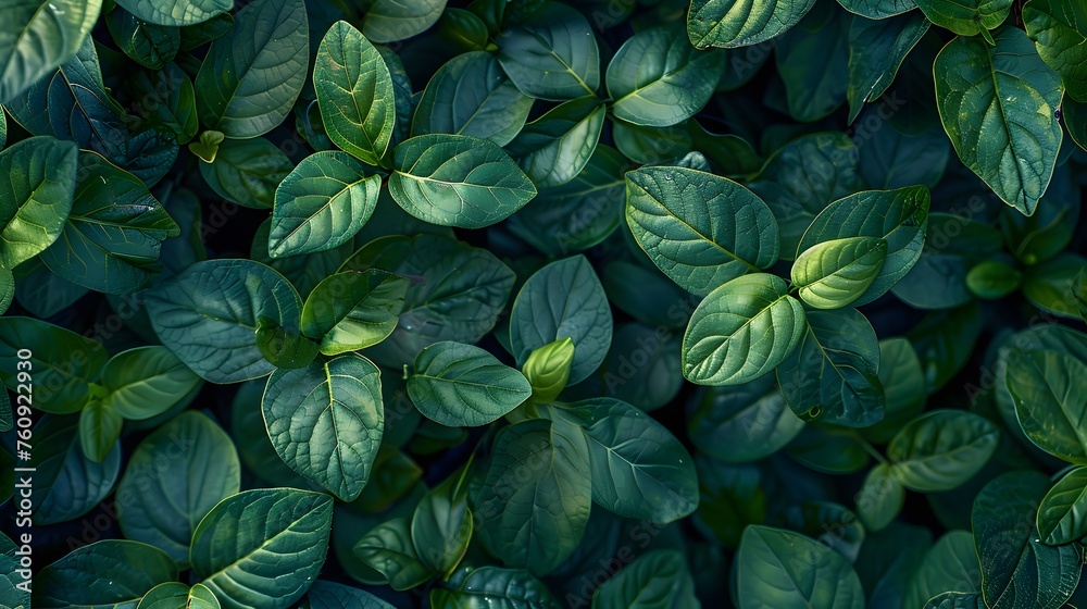 lush green foliage texture, showcasing detailed leaves and vibrant colors