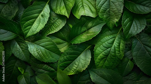 lush green foliage texture  showcasing detailed leaves and vibrant colors