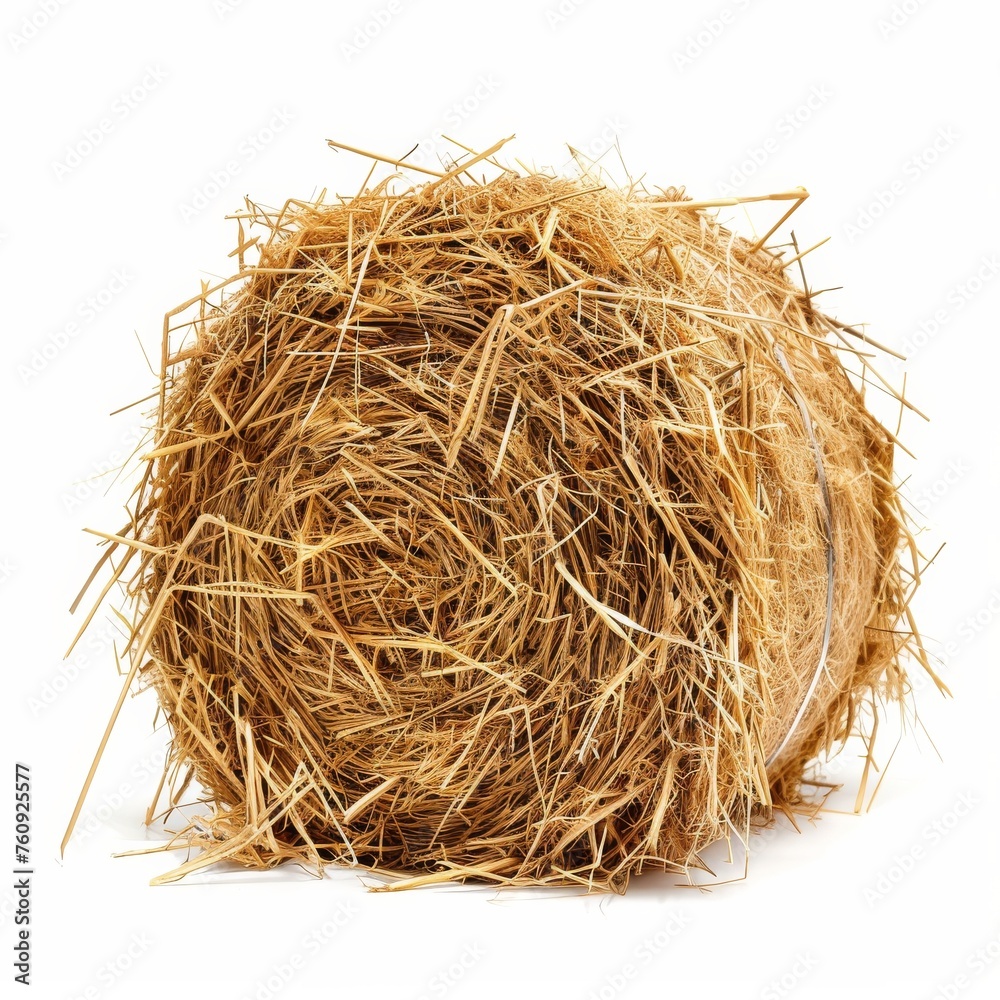 Obraz premium haystack on white background isolated