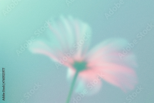 A pastel blue and pink gradient background with the an abstract flower in a minimalistic style with negative space.