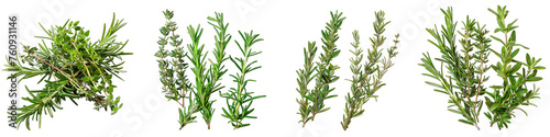 Sprigs of fresh rosemary and thyme Hyperrealistic Highly Detailed Isolated On Transparent Background Png File