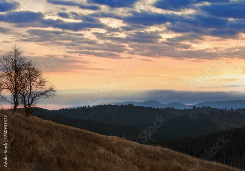 Picturesque pre sunrise morning above late autumn mountain countryside. Ukraine, Carpathian Mountains. Peaceful traveling, seasonal, nature and countryside beauty concept scene. © wildman