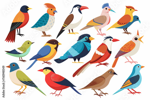 Various species wild birds, vector art illustration  © Mohammad
