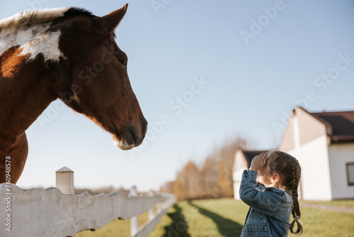 Small girl on a ranch with horses on sunny day