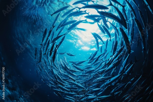 A school of fish swimming in a circle