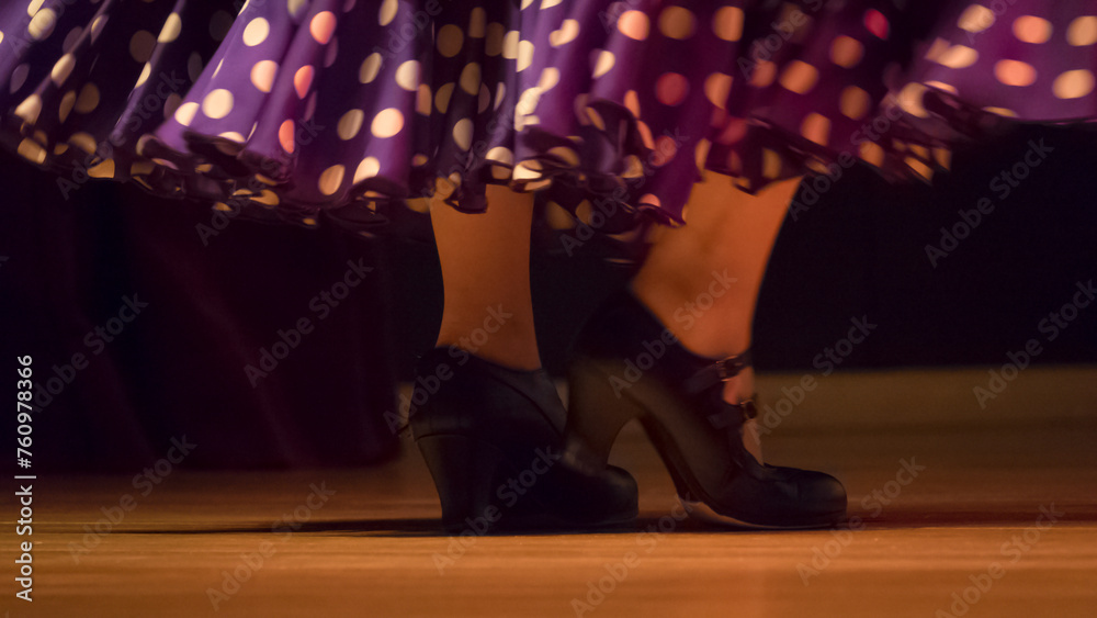 Performance of the flamenco dance