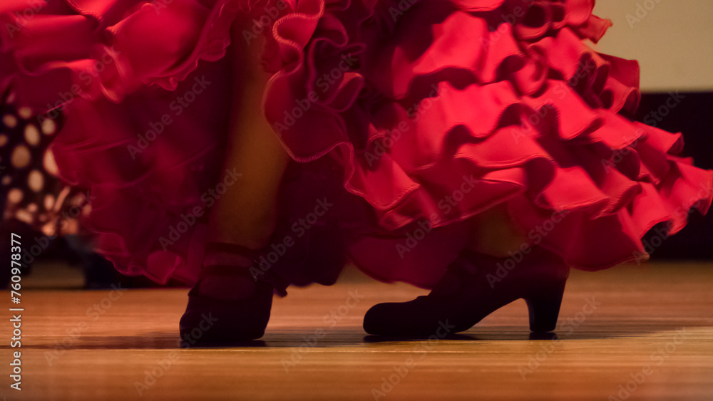 Performance of the flamenco dance