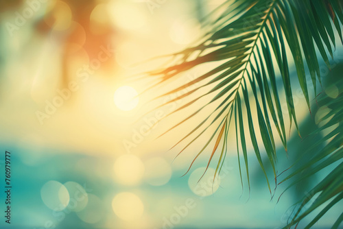 Palm leaves gently sway against a soft, sunlit backdrop, evoking a serene and tropical ambiance.