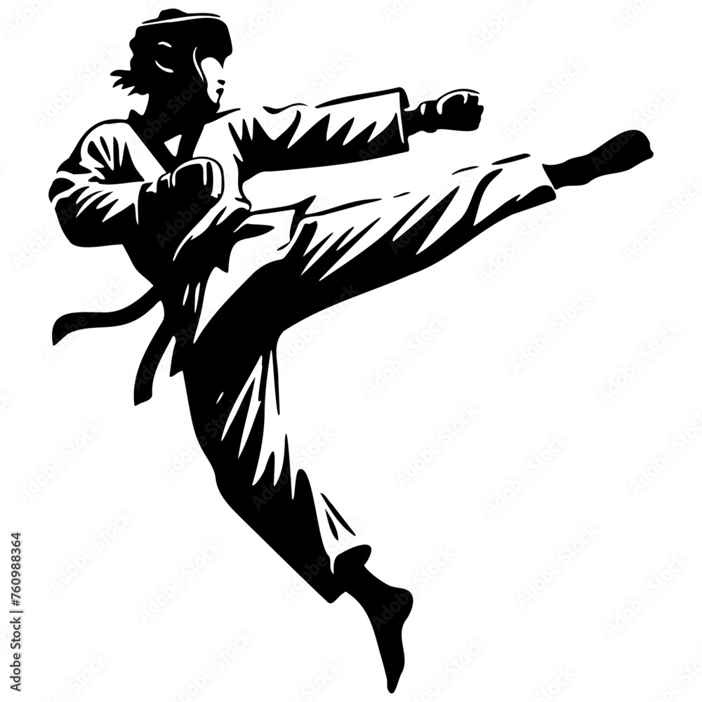 Male Taekwondo Player Kick Silhouette. Male Taekwondo Player Kick Silhouette.