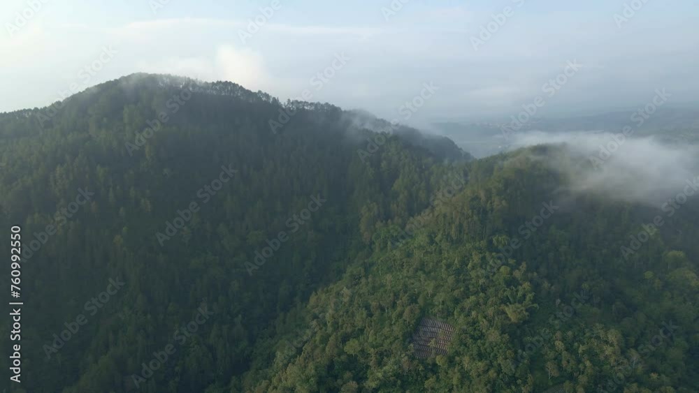 Helicopter view of rainforest on the mountain range with fog. Greenery view of forest and hill. Tropical landscape of wild jungle.