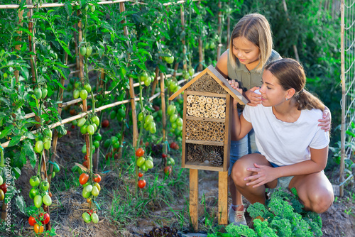 Mom shows her little daughter an insect hotel in form of birdhouse between tomato beds in the garden © JackF