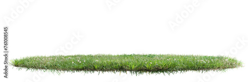 Unit green grass on transparent background 3d PNG