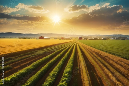agricultural farmland environment at sunset