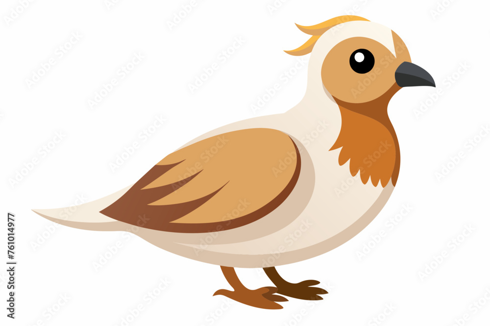 bird vector illustration