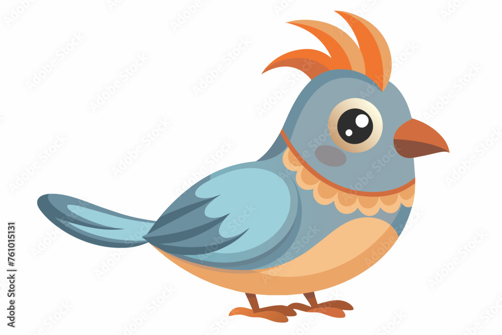 bird vector illustration