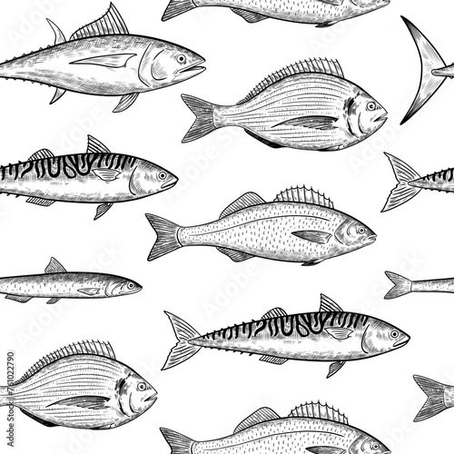 Seamless pattern with sea fishes species. Seafood fish. Vector illustration in black and white engraving style.