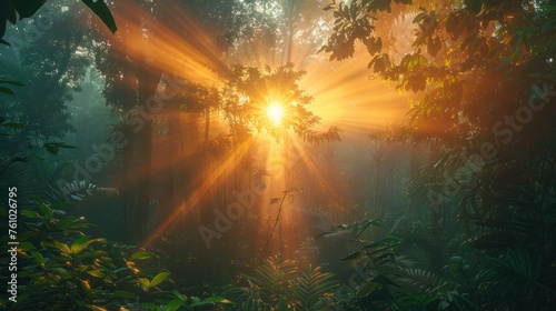 Aerial view of sunrise in a misty forest Golden sunset, mist in the mountains, flying over the valley. Green trees, morning mist, rice fields, sunrise over the horizon. beautiful natural landscape