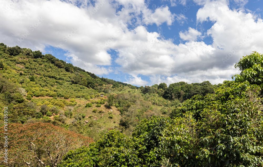 Scenic view of forest and mountains from Rte 2 south of Cartago Costa Rica