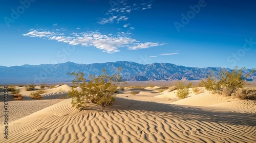 A desert landscape with sand dunes and a clear blue sky