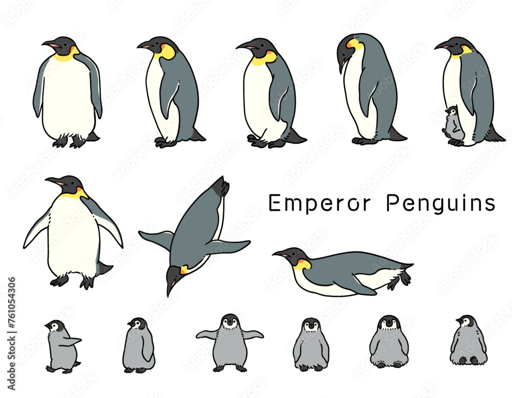 Obraz premium 手描きの皇帝ペンギンのイラストセット