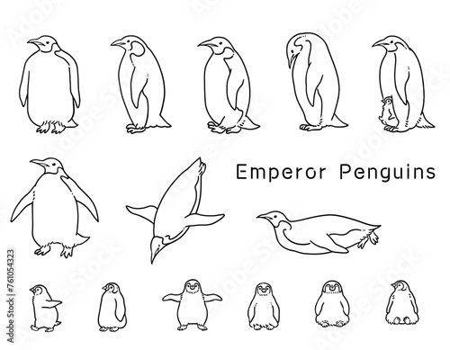 線画の皇帝ペンギンのイラストセット
