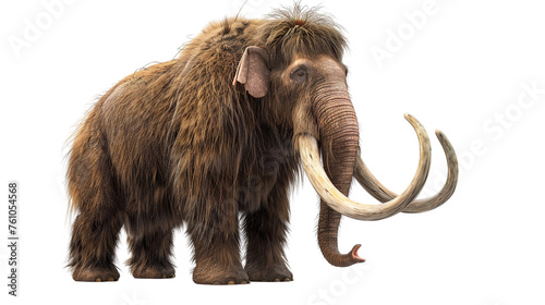 mammoth, prehistoric mammal isolated with shadow on white background