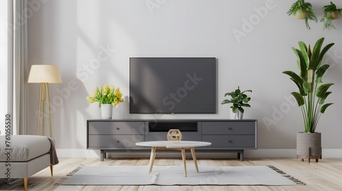 modern blank cabinet tv © irawan