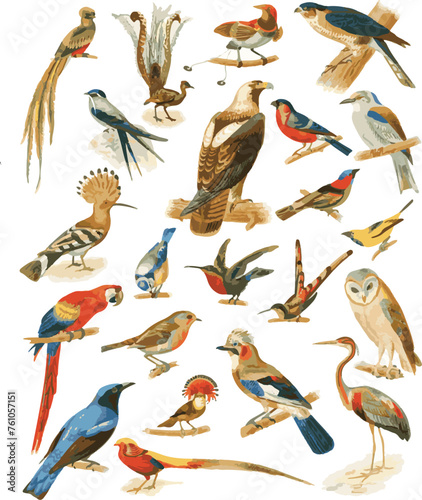 bird pattern drawing