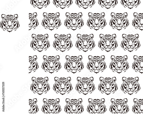 tiger pattern