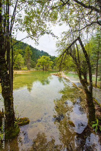 Huanglong Yaochi and spruce trees in Sichuan  China