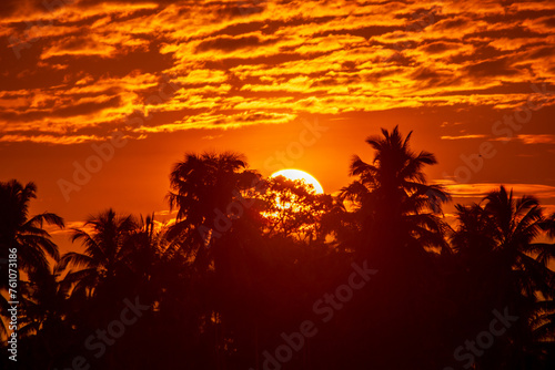 Vibrant orange sky sunset with silhouette of palm trees