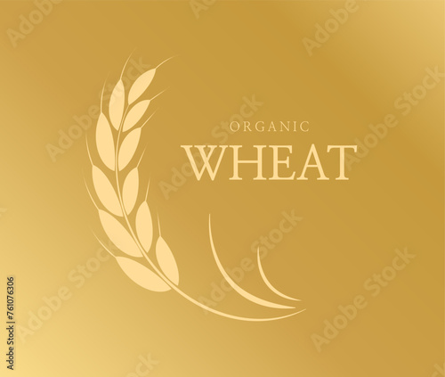 Organic paddy rice. premium product banner logo. Organic 100%. Rice stalk sign for farm market. Vector illustration
