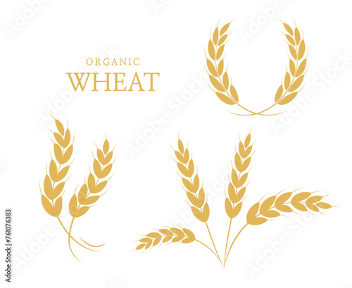 Rice panicles. Agriculture wheat. Laurel wreath icon. Wheats rye rice ears. rice stalk. Vector illustration