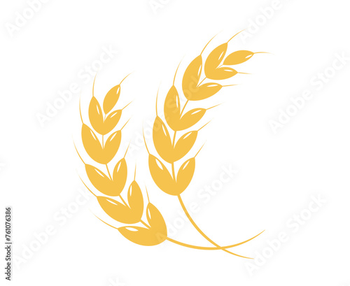 Rice panicles. Wheats rye rice ears  isolated on white background. Premium quality rice. Vector illustration