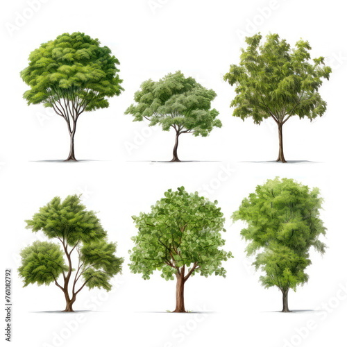 Collection of tree on white background