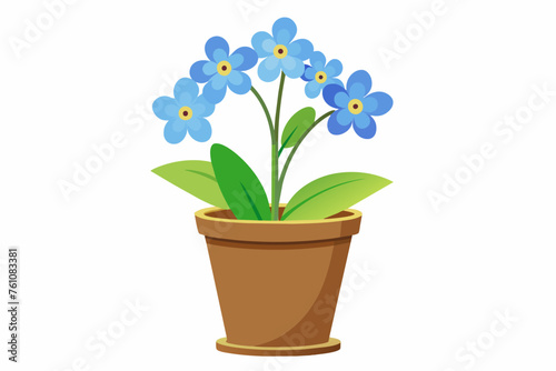 forget me not flower in pot on white background