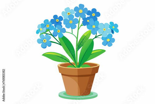 forget me not flower in pot on white background