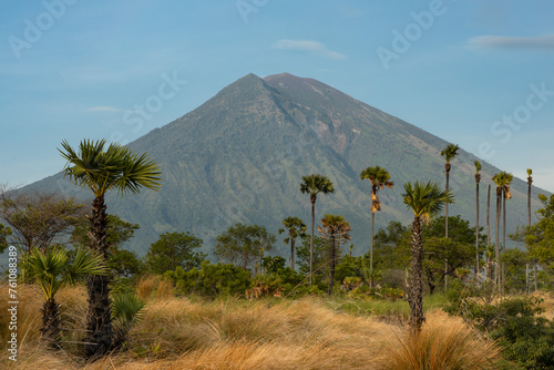 Rural natural savannah-like part of Bali island covered in vegetation  and mount Agung volcano view in Karangasem district, Amed early in the morning photo