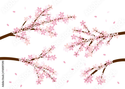桜 木の枝 シンプル ベクター シンプル セット
