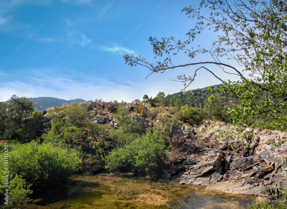 A stunning natural habitat in the national park A stunning natural habitat in the national park
