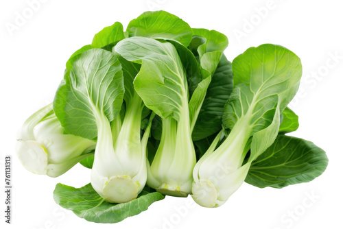 
Bok choy or pak choy asian cabbage isolated on white background Realistic daytime first person perspective