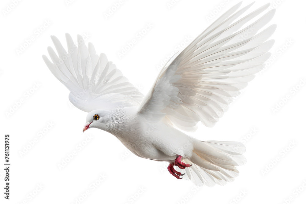 A free flying white dove isolated on a white background. AI realistic daytime first person perspective
A free flying white dove isolated on a white background. AI realistic daytime first person perspective