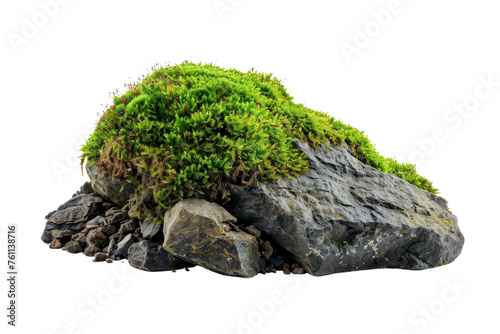  Green moss with dirt, soil and decorative stone, rock isolated on white background first person view realistic daylight