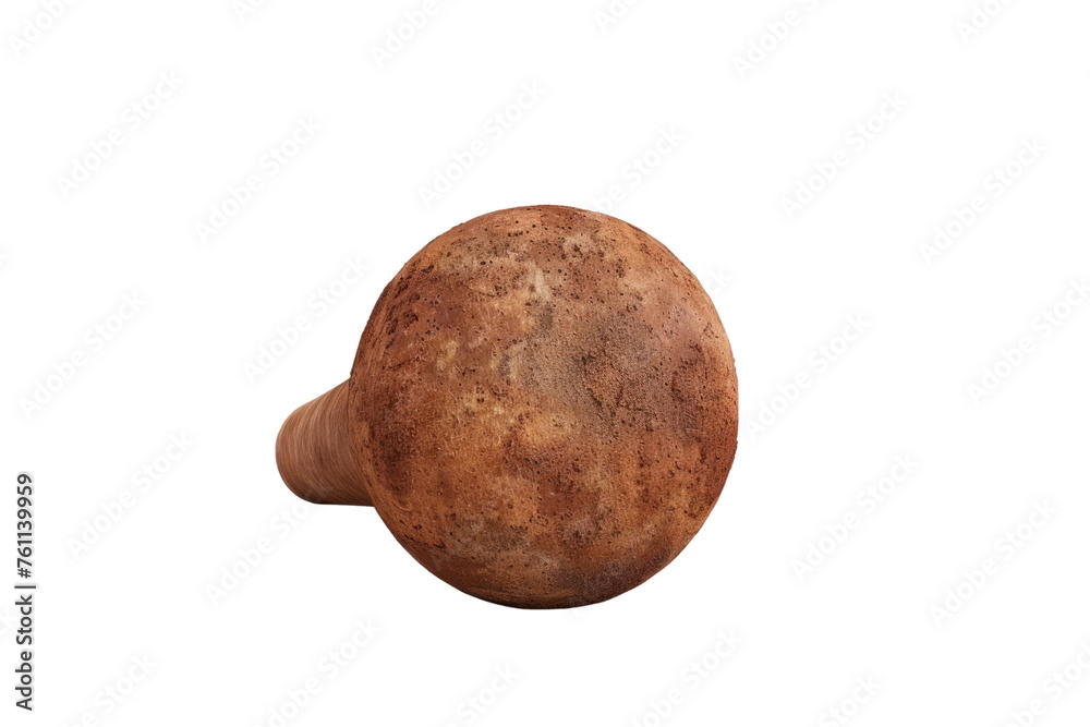Fototapeta premium Cinnamon isolated on white background first person view realistic daylight