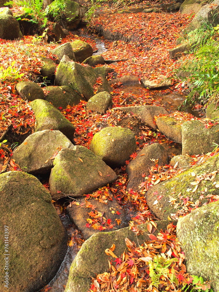 晩秋の涸れた川に散る紅葉の枯れ葉風景 晩秋の涸れた川に散る紅葉の枯れ葉風景
