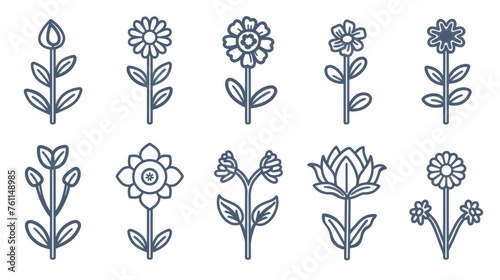 Flower flat line icons - chamomile, sunflower, rose flower, lotus, carnation, dandelion, violet blossom. Pixel perfect 48x48. Editable strokes.