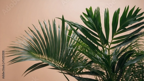 A lush, tropical palm leaf, precisely cut out and isolated on a plain background Generative AI © Haroon