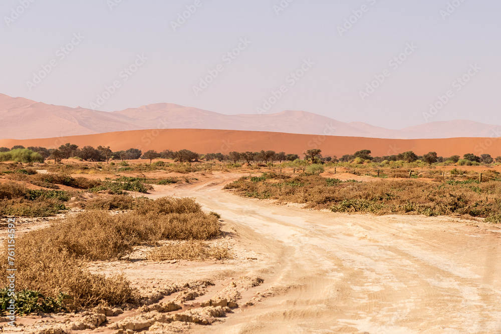Impression of the massive sanddunes that comprise the Sossusvlei of western Namibia Impression of the massive sanddunes that comprise the Sossusvlei of western Namibia